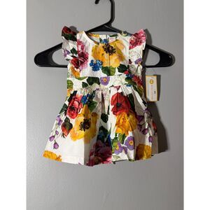 BrightKid 6M Floral Dress Baby Girl Multicolor Garden Print Ruffle Sleeve NWT